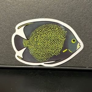 SALT WATER FISH STICKER